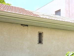 20200716_122352 (Medium)